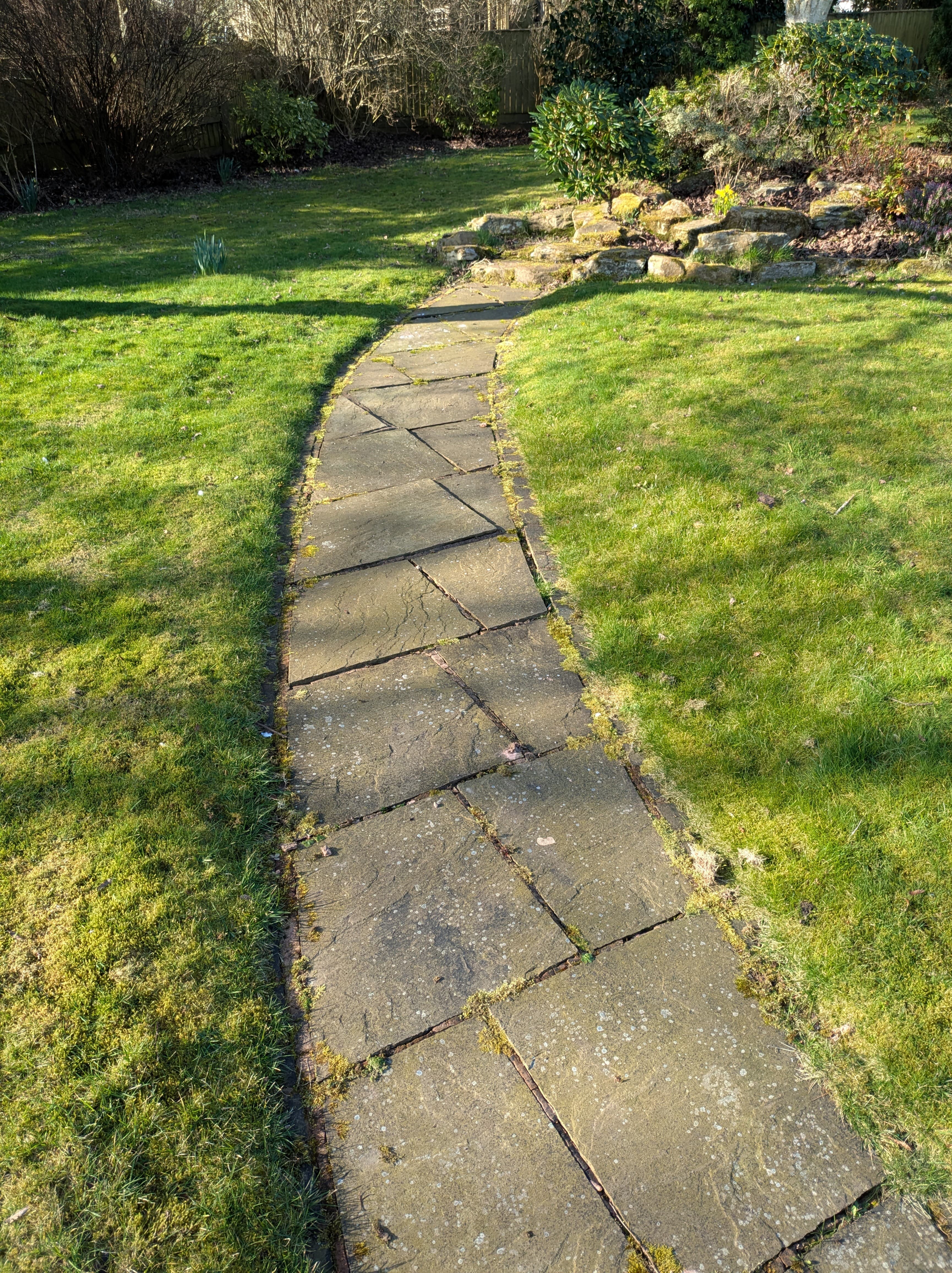 Mossy patio before cleaning